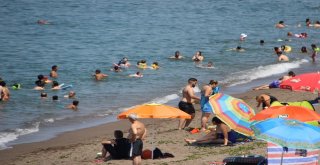 Karadeniz Sahilleri Güney Sahillerini Aratmıyor