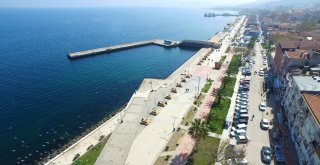 Mudanyanın Ulaşım Meselesini Büyükşehir Çözüyor