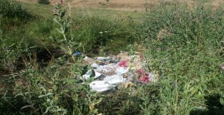 Piknik Alanını Çöpe Çevirdiler