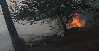 Hataydaki Yangında 40 Hektarlık Orman Alanı Zarar Gördü