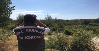 Dkmp Ekiplerinin Hafta Sonu Kaçak Avcı Mesaisi