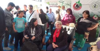 Canan Karatay, Altınözü Zeytinini Öve Öve Bitiremedi