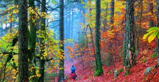 Keşif Yolcuları Kazdağlarında Sonbahar Renklerinin Peşinde