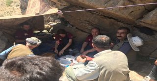 Terörün Yerini Huzura Bırakması İle Dağlar Ve Yaylalar Şenlendi