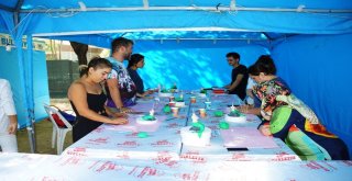 Pasta Ve Yemek Yapmak İçin Aydında Kampa Girdiler