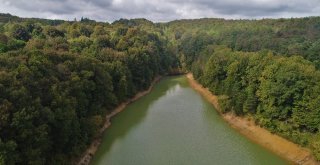 (Özel) Sonbaharın Renklerine Bürünen Atatürk Arboretumu Havadan Görüntülendi