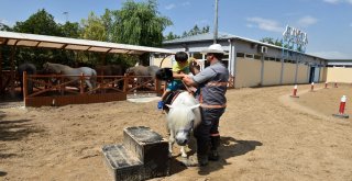 Altınparkta Midilli Keyfi