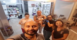 Kanala Düşen Yavru Kedi Kurtarıldı