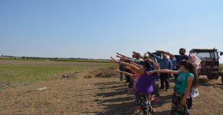 Topraksız Köylüler, Cumhurbaşkanından Yardım İstedi