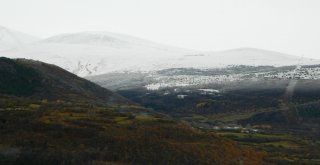 Posof Beyaza Büründü