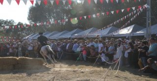 Başkan Çelik, Uluslararası Uzunyayla Çerkez Kültür Festivalinde Birlik Beraberlik Vurgusu Yaptı