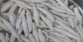 (Özel) Kenger Sakızı Dolarla Yarışıyor