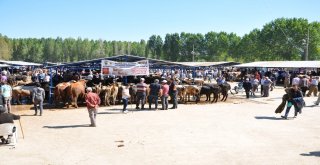 Kurban Pazarı Hareketlendi