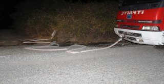 Ayvalıkta Zeytinlik Yangını