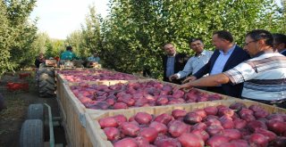 Milletvekili Özelden, Eğirdire Bereketli Olsun Ziyareti