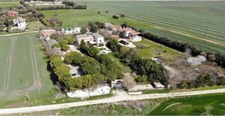 Bu Çiftlik Ölüme Terk Edilmiş Hayvanlara Umut Oluyor