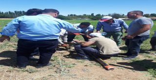 Günyüzünde Su Kuyusuna Düşen Yavru Köpeği İtfaiye Ekipleri Kurtardı