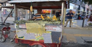 Mardinde Seyyar Dert Dinleyici