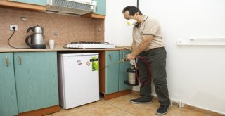 (Özel Haber) Böceklerden Kurtulayım Derken Sağlığınızdan Olmayın