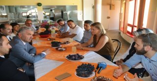 Kayseriden Mostara Kardeşlik Eli