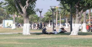 Tehlikeyi Bile Bile Atlıyorlar