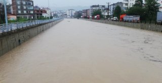 Ordu Yine Sele Teslim Oldu