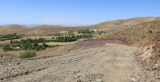 Eşek Sırtındaki Diyaliz  Yolculuğu Sona Erdi