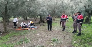 İznikteki Cinayetin Sanıkları Hakim Karşısına Çıktı