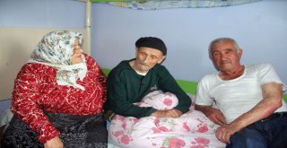 3 Osmanlı Padişahı, 12 Cumhurbaşkanı, 27 Başbakan, 1 Başkan Gördü