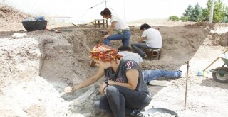 Çankırıda Omurgalı Fosil Kazıları Başladı