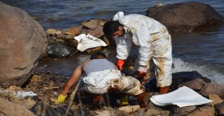 Foçadaki Fuel-Oil Sızıntının Ardından Çalışmalar 5. Günde De Sürüyor