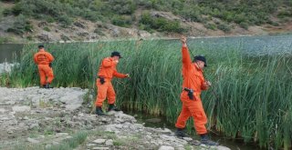 Evrimi, Kadavra Köpeği Mavi Mezarlıkta Aradı
