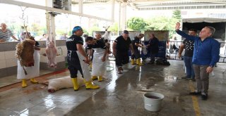 Başkan Böcek, Kurban Kesim Yerlerini Ziyaret Etti