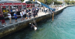 Sariyerde Denize Düşen Atın Kurtarılma Anı Havadan Görüntülendi