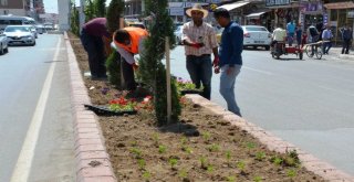 Ercişte Caddeler Çiçek Açtı