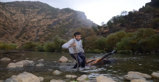 Ormanlara Zarar Vermemek İçin Çay Kenarında Odun Topluyorlar