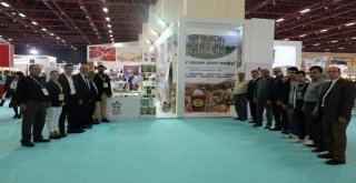 Nazilli Ticaret Odası, Antalya Yörex Fuarına Katıldı