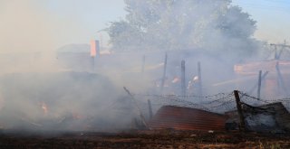 Ahır Ve Depo Olarak Kullanılan Baraka Küle Döndü