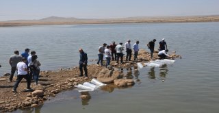 Terörün Yerini Huzura Bırakmasıyla Yaylalar İle Birlikte Nehir Ve Göller De Şenlendi