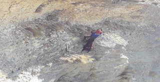 Uçurumda 4 Gün Mahsur Kalan Keçi Kurtarıldı