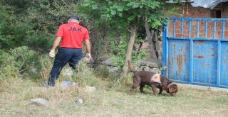 Evrimi, Kadavra Köpeği Mavi Mezarlıkta Aradı