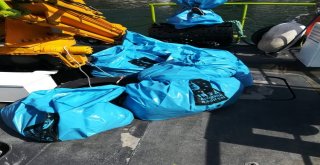 Denizler Ve Sahiller Artık Daha Temiz