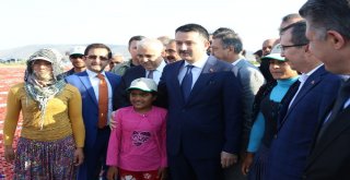 Bakan Pakdemirli Tarlaya İndi, Traktör Kullandı