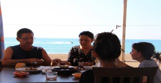 Antalyada Denize Sıfır Obalarda Ücretsiz Lüks Tatil Kıskandırıyor