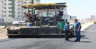Kayyum Geldi, Diyarbakırda Yapılmadık Yol Kalmadı