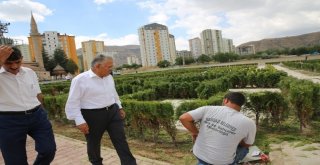 Başkan Büyükkılıç Labirent Parkında