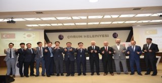 Hititler Ve Gaya Uygarlığının Dünyaya Tanıtılması İçin İşbirliği