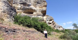 (Özel) Kazan Kayası, Kışın Yaban Hayvanlarının Yazın Turistlerin İlgi Odağı