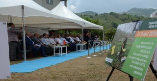 Gübretaş Model Bahçe Uygulamasında Rekor Fındık