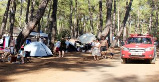 Gözler Ormanda, Ekipler Alarmda